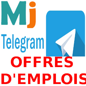 Groupe Telegram : Alertes Emplois et Stages au Cameroun 
