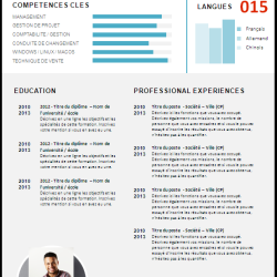 Service Relookage de CV (Curriculum vitæ) :  CV Premium et Express
