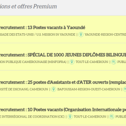 01 : Optez pour une offre « Premium » et votre offre sera consultée plus de 10 fois