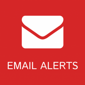 Email Job Alert Premium Service : Alertes Emplois et Stages par Email au Cameroun