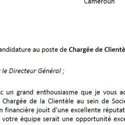 10.Lettre de Motivation / Demande d'Emploi / Candidature :  LM Premium et Express - Services de Rédaction